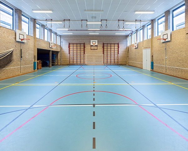Vinyl Sports Flooring